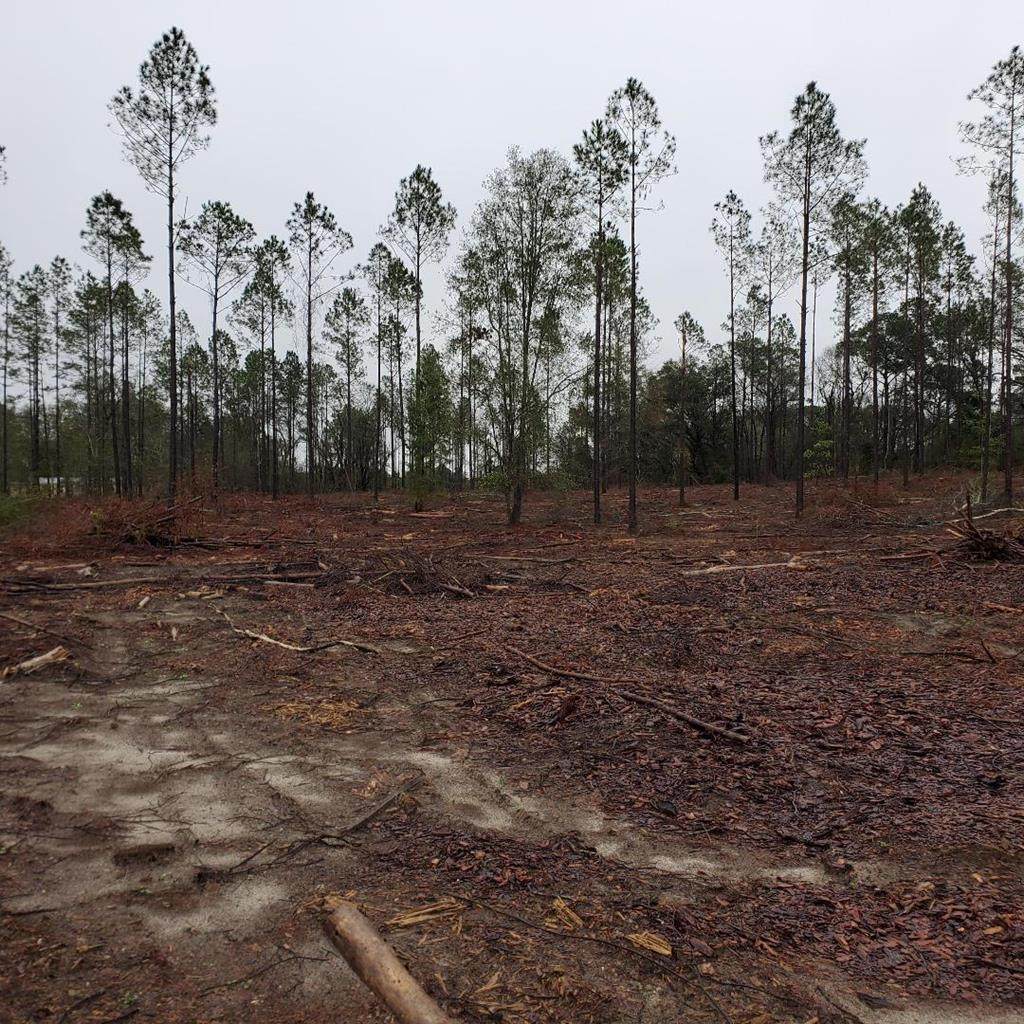 00 133rd Rd - Photo 1