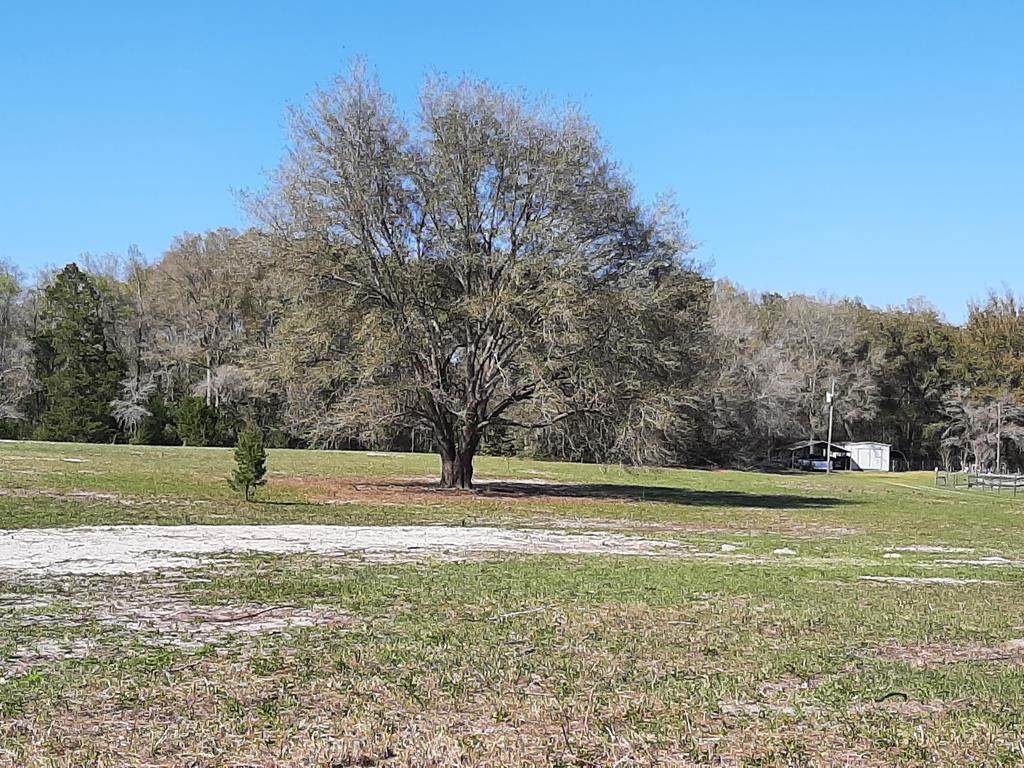 TBD 93rd Ln - Photo 1