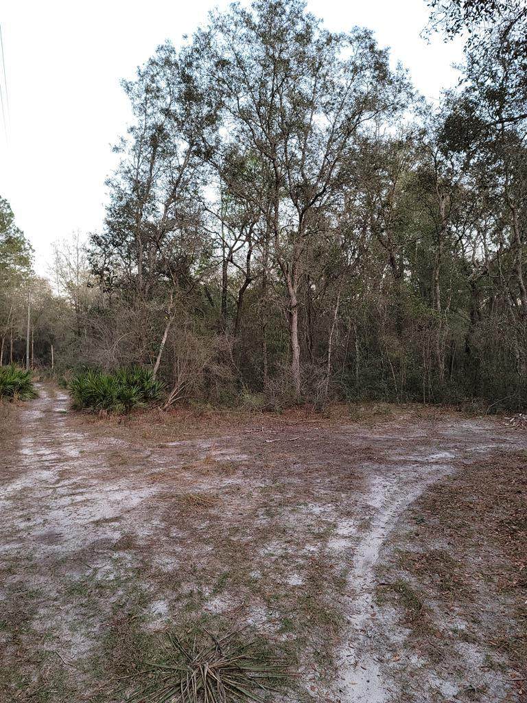 Lot 90 791st St - Photo 1