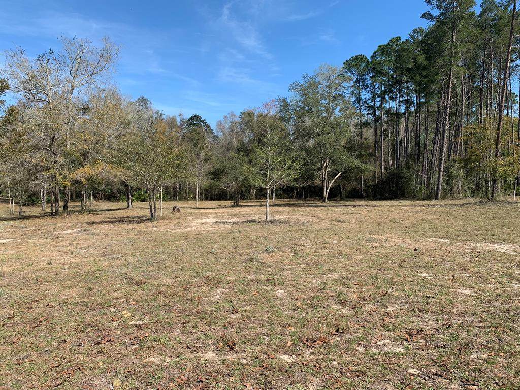 Sweet Gum Lane - Photo 1