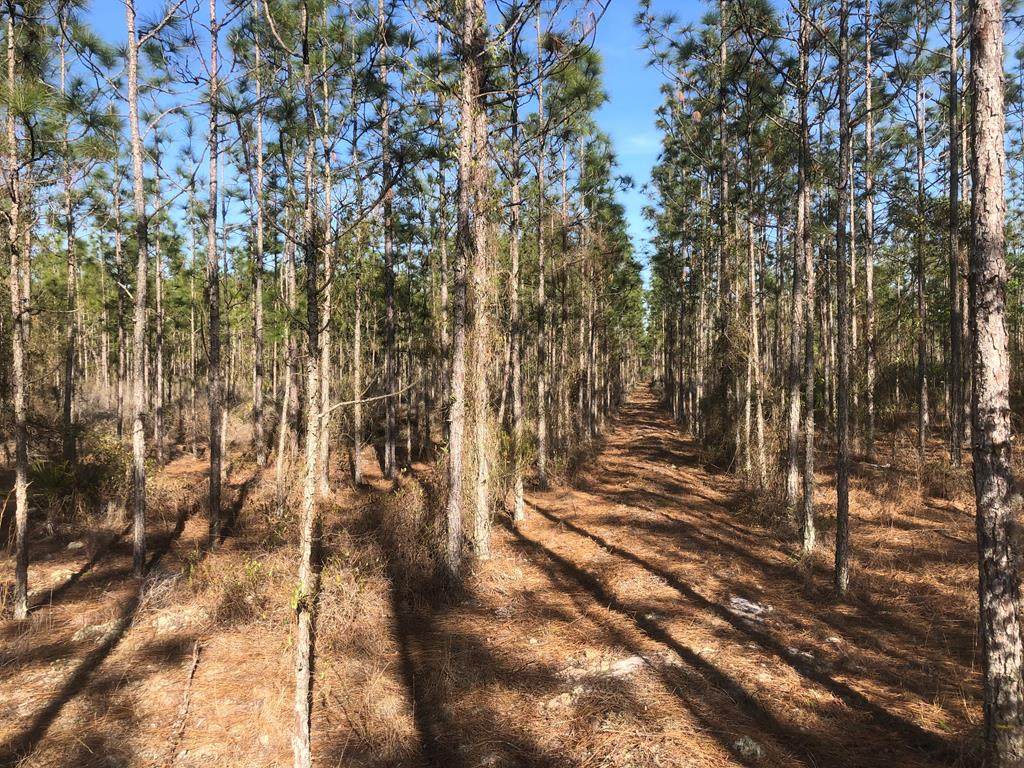 County Road 340 - Photo 1