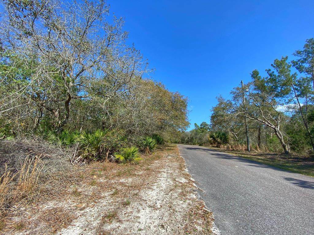 Lot 15 Riverview Rd - Photo 1