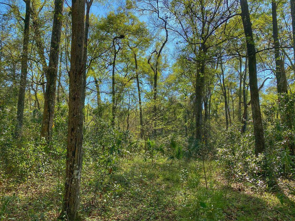 Lot 20 90th Ct - Photo 1