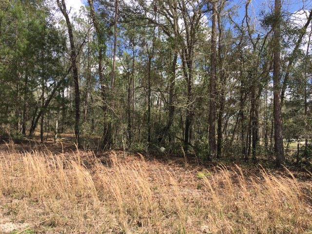 HCF LT 5 31st Ave - Photo 1