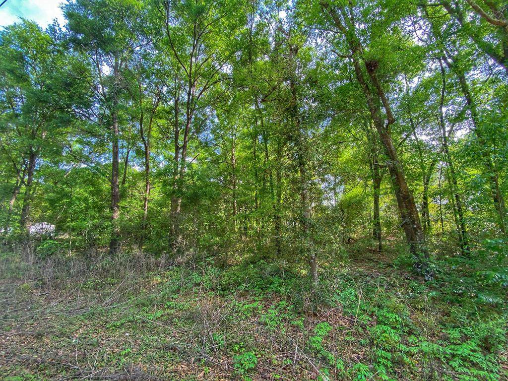 Lot 9 78th Pl - Photo 1