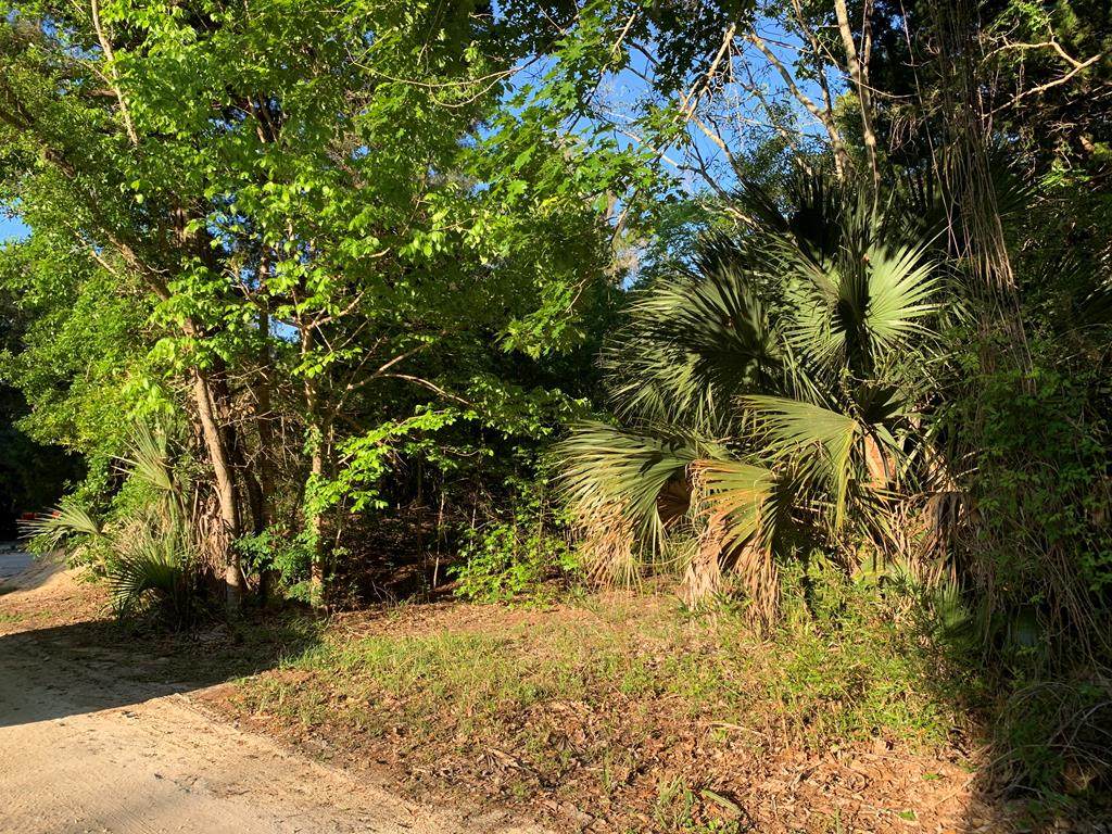 Peninsula Rd - Photo 1