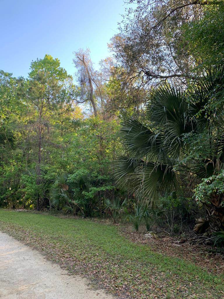 2306 Ancient Oaks Dr - Photo 1