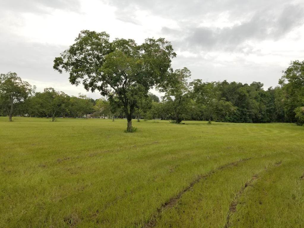 County Road 232 - Photo 1