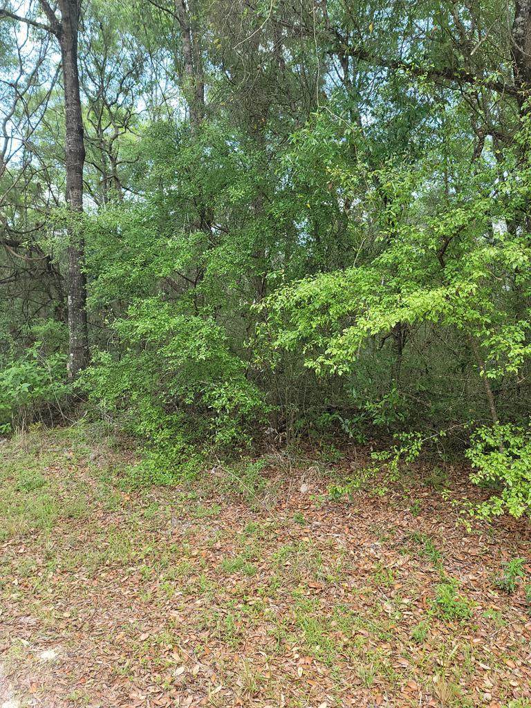 Lot 7 914th St - Photo 1