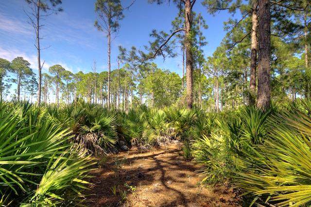 Lot 48 100th Pl - Photo 1