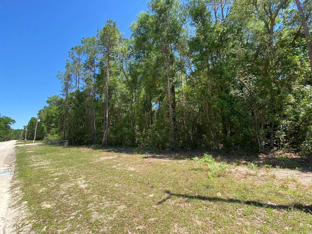 TBD Trenton Blvd - Photo 1