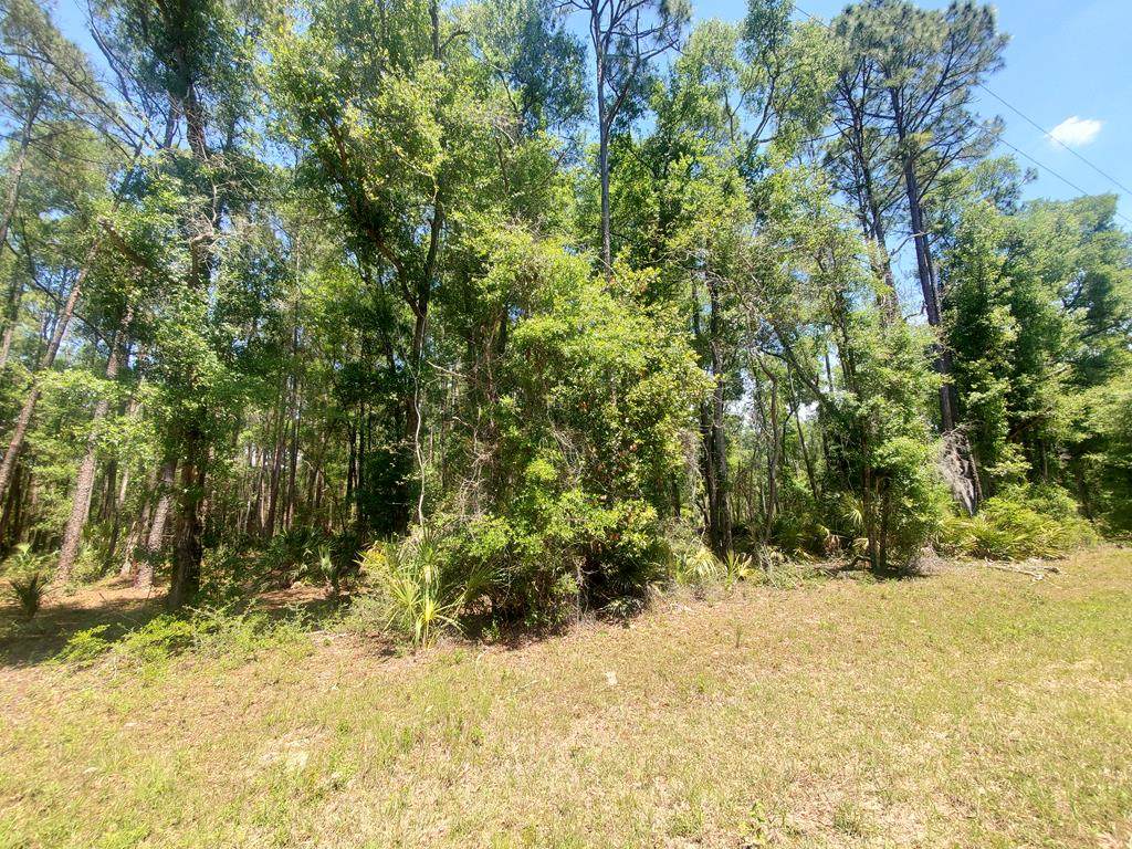 LOT 10 90th St - Photo 1
