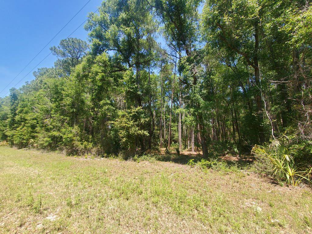 LOT 9 90th St - Photo 1