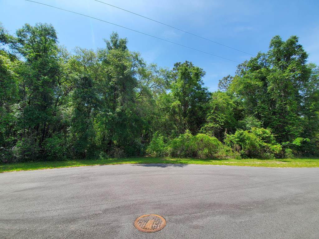Lot 114 173rd Pl - Photo 1