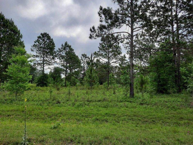 Lot 24 6th Ct - Photo 1