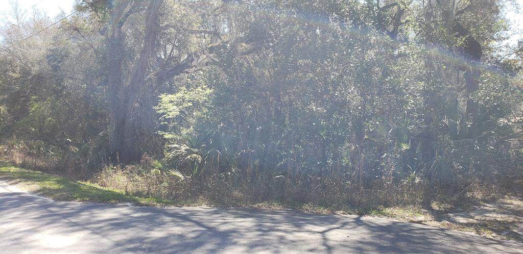 182 453rd Ave - Photo 1