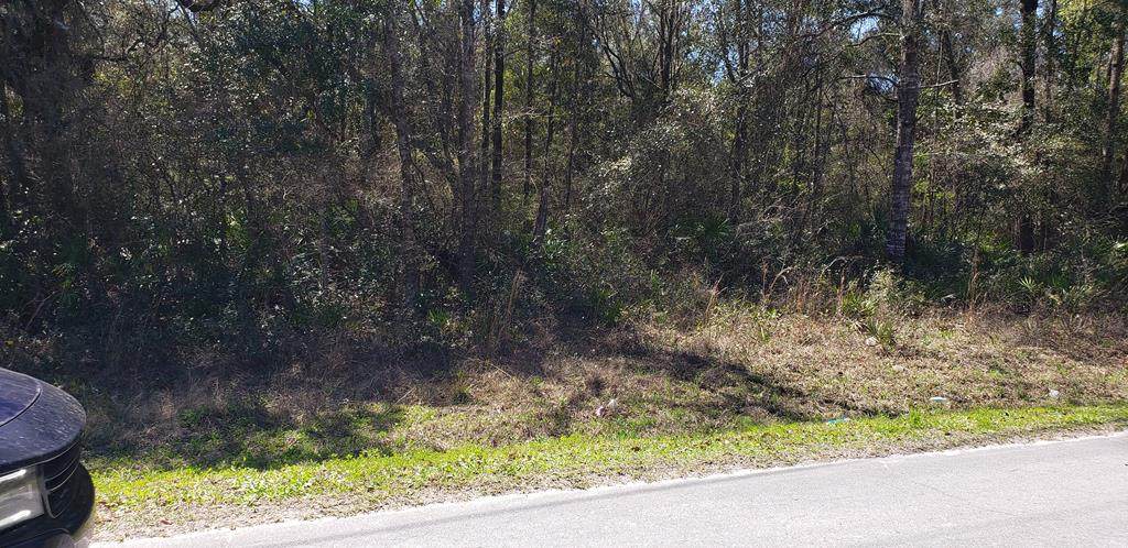 453rd Ave - Photo 1