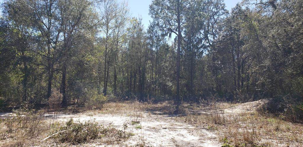 182 453rd Ave - Photo 1
