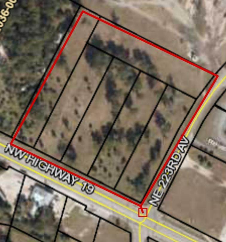 15579 Us Hwy 19 - Photo 1