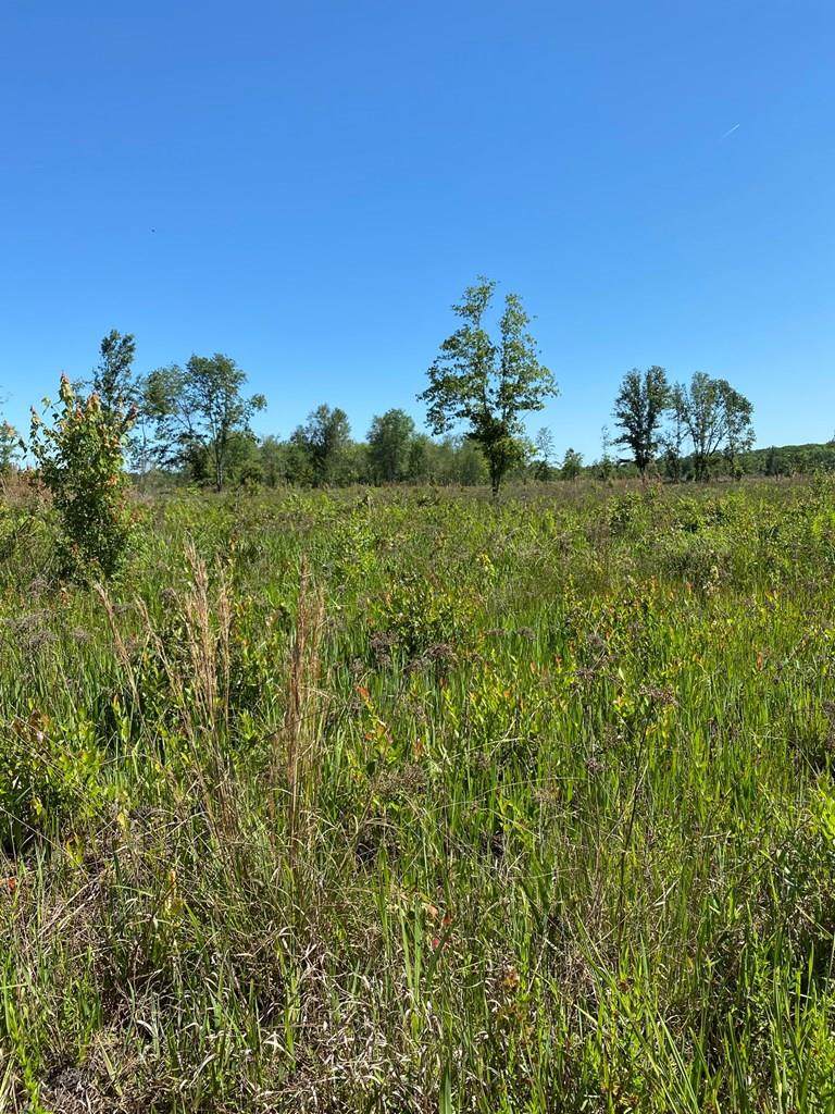 County Road 18 - Photo 1