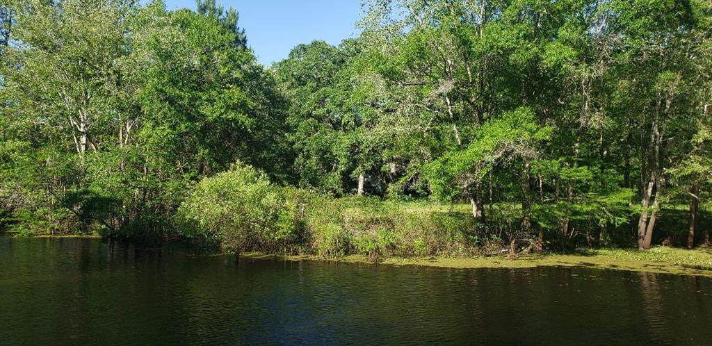 2180 County Road 317 - Photo 1