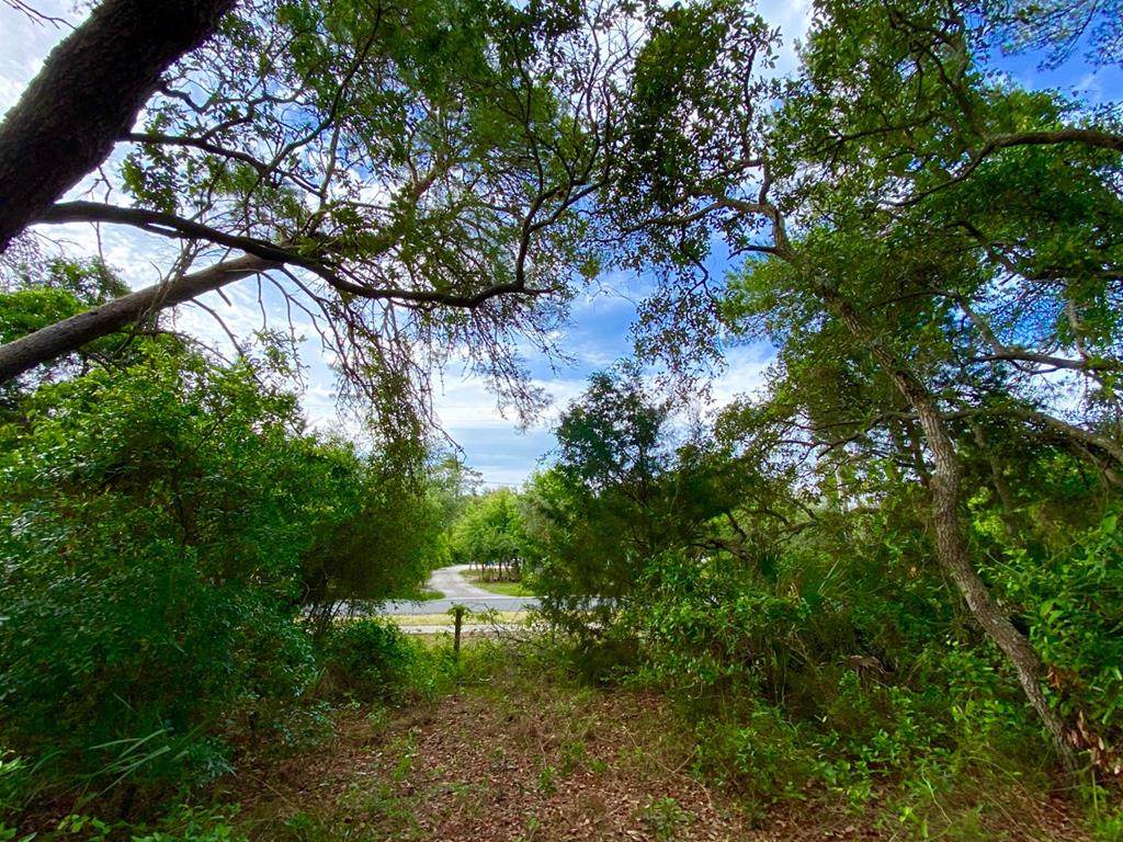 Lot 16 Hodges Ave - Photo 1