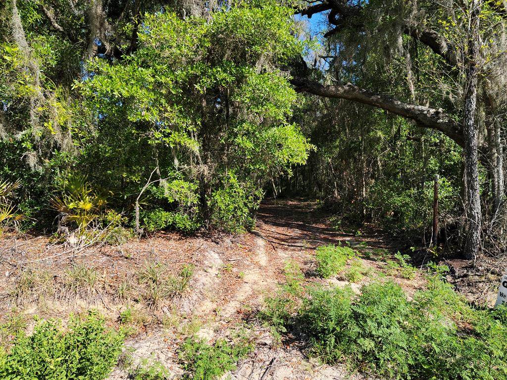 State Rd 24 - Photo 1