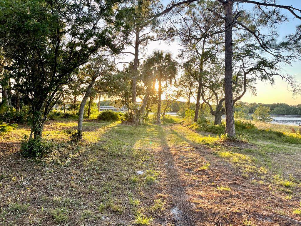 5+ Acres 133rd St - Photo 1