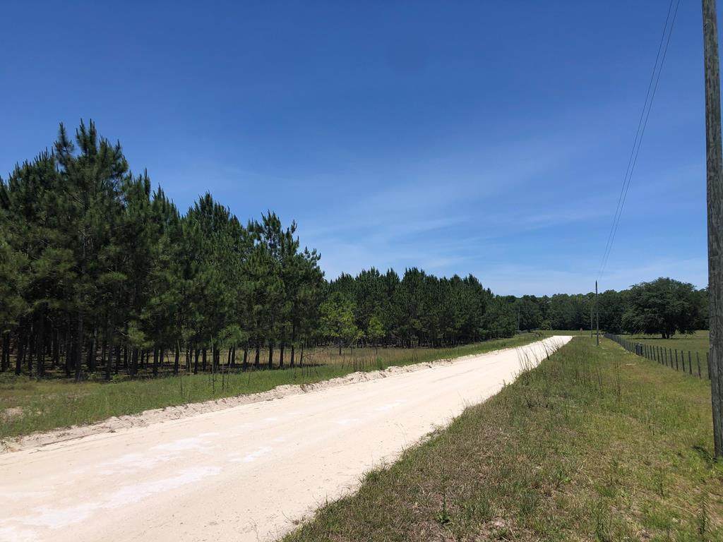 L31 41st Cir - Photo 1