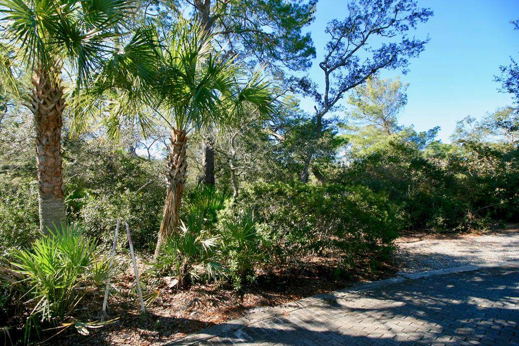 12170 Anchor Cove Dr - Photo 1