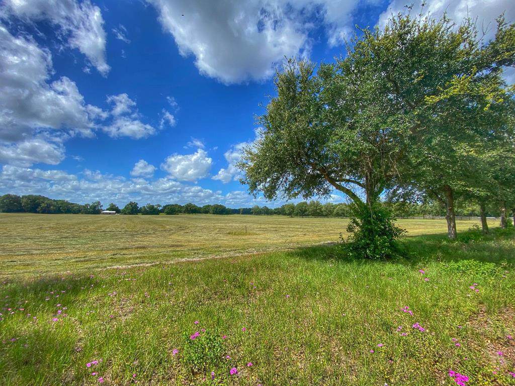 Lot 4 County Road 340 - Photo 1