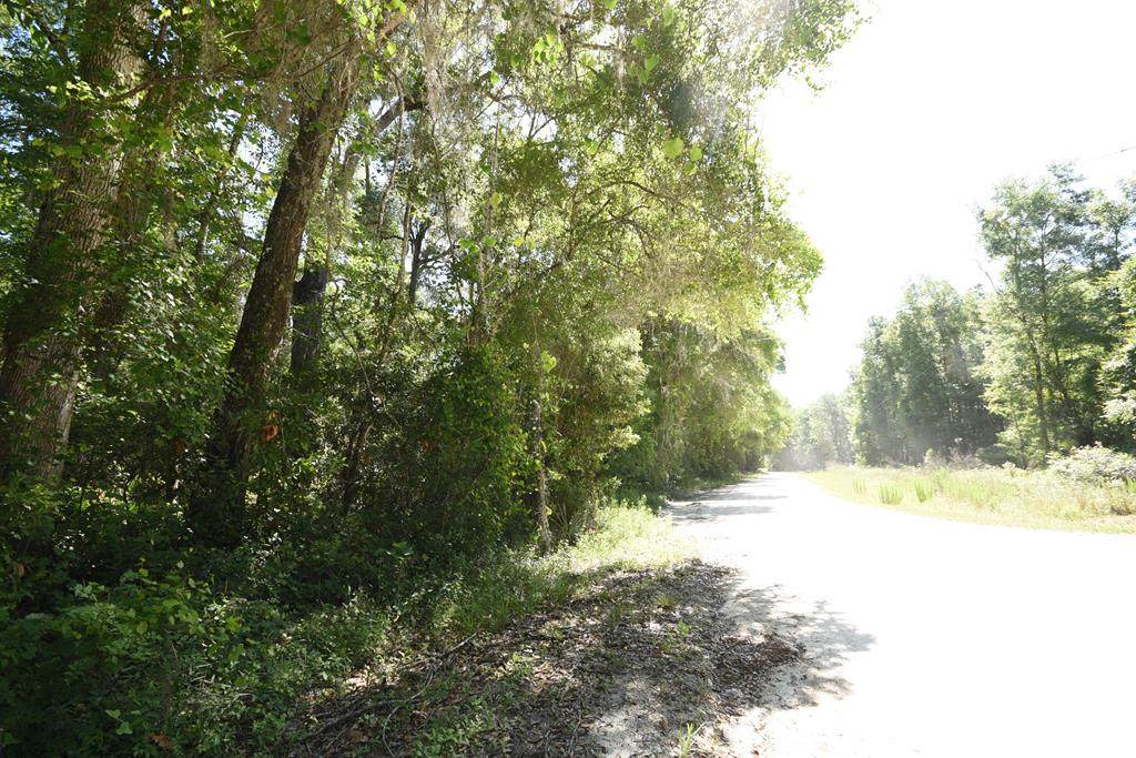 Unassigned - Photo 1
