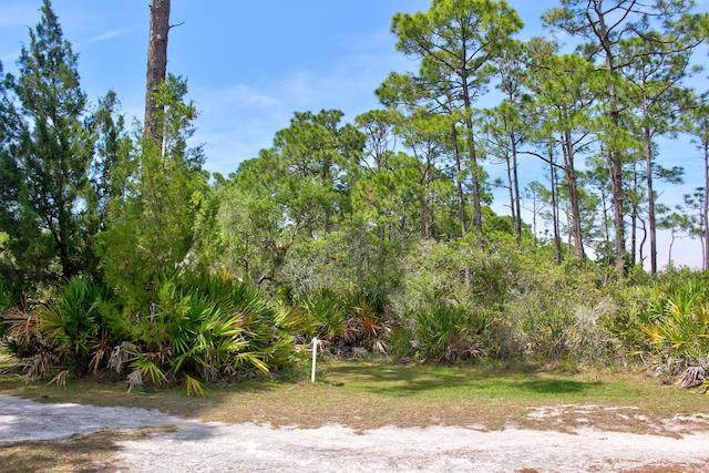 Lot 36 Museum Dr Easement - Photo 1