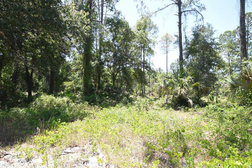 Lot 46 Hwy 349 - Photo 1