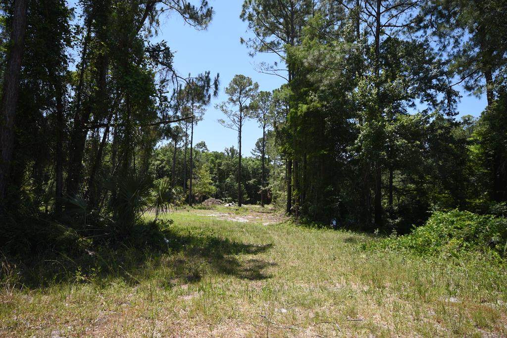 Lot 47 Hwy 349 - Photo 1