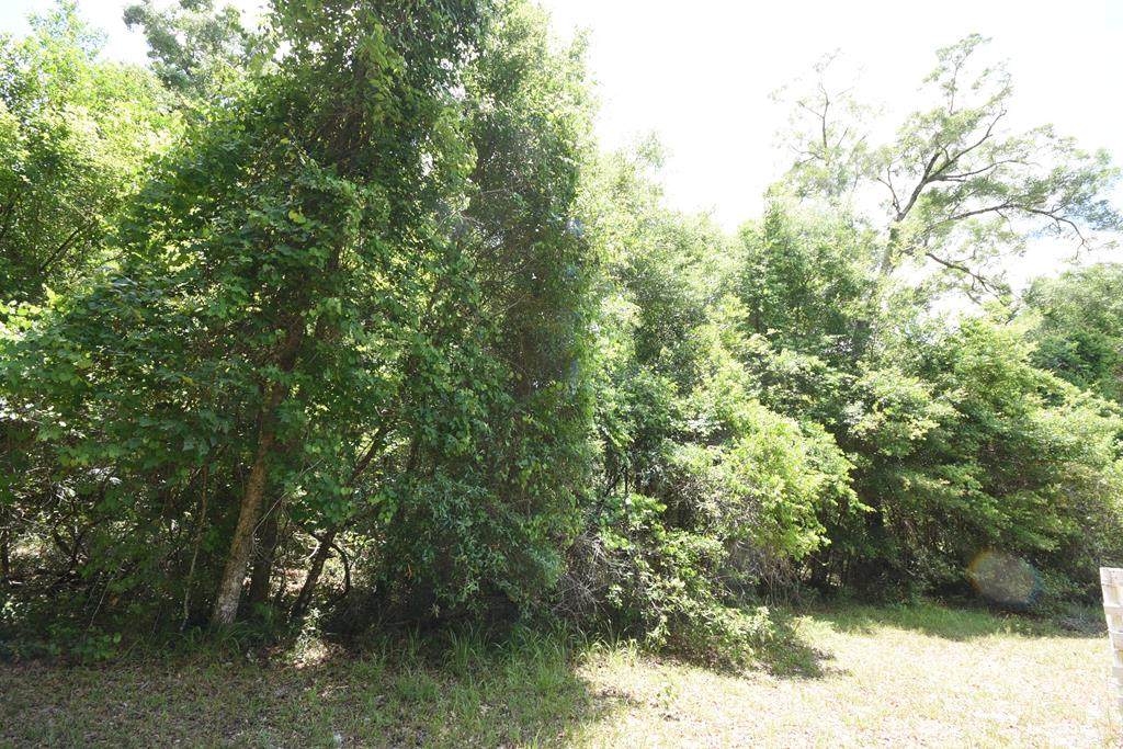 185th Ave - Photo 1