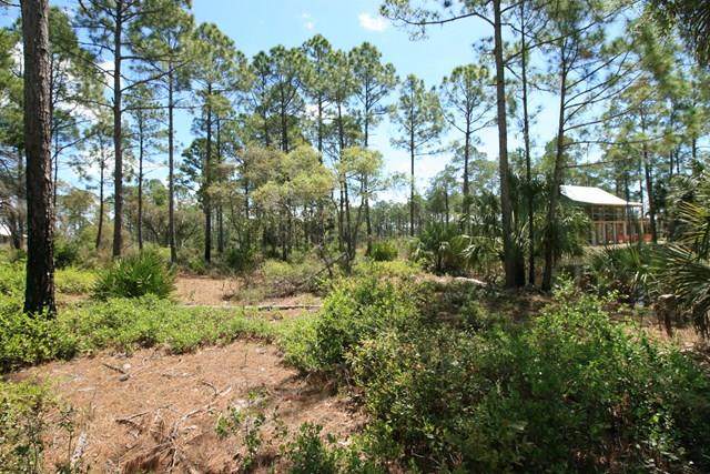 Lot 91 153rd Ter - Photo 1