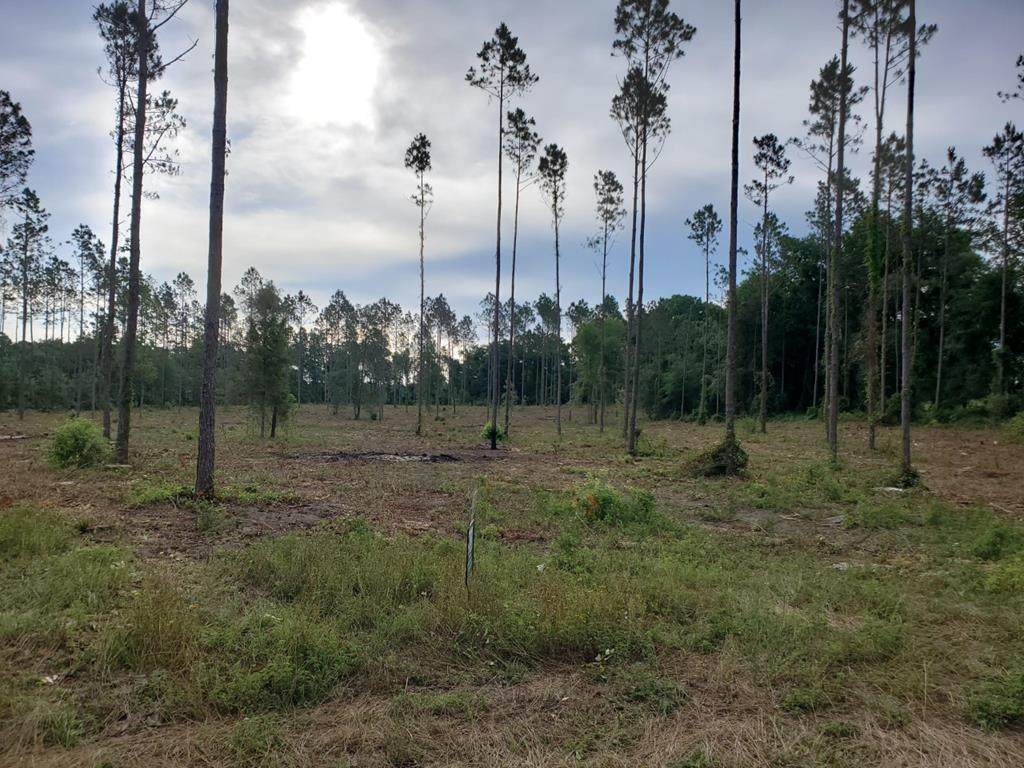 00 133rd Rd - Photo 1