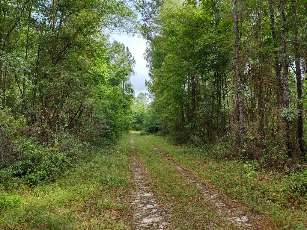 151st Ter - Photo 1