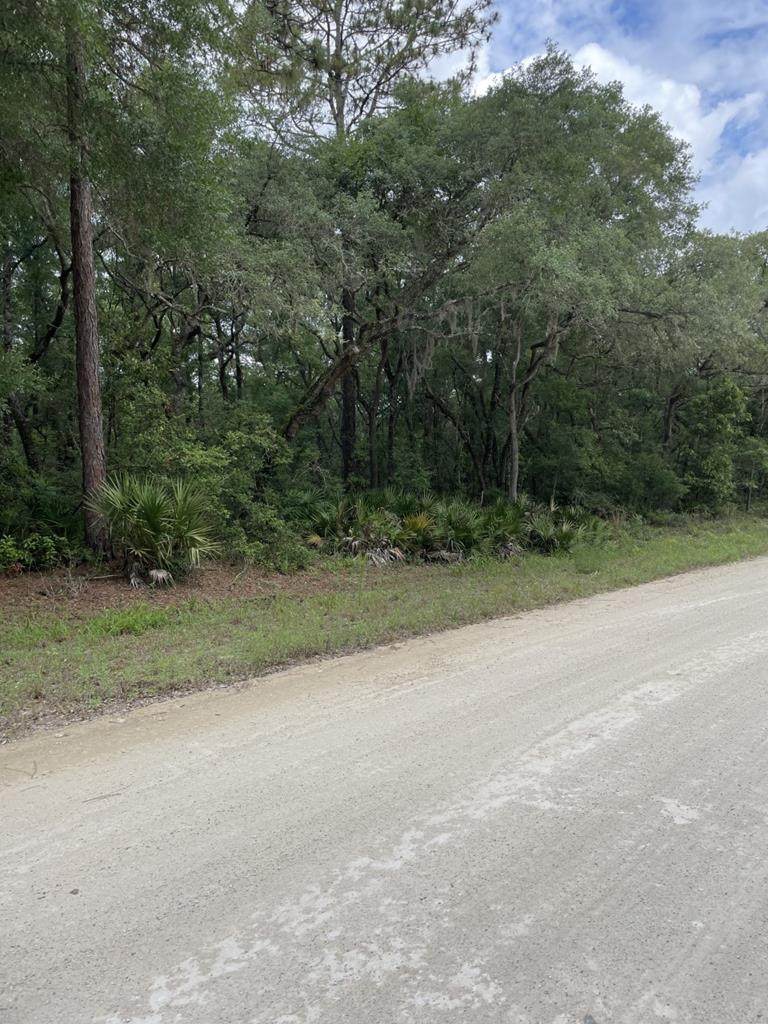 Lot 12 86th Ave - Photo 1
