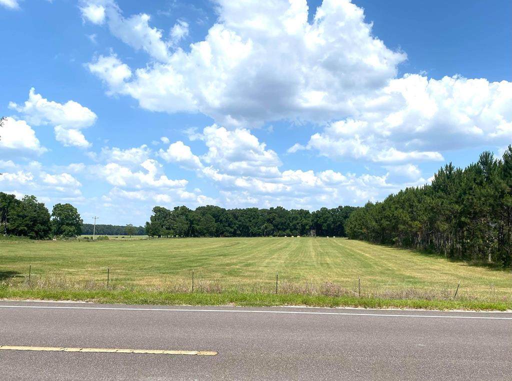 TBD County Road 232 - Photo 1