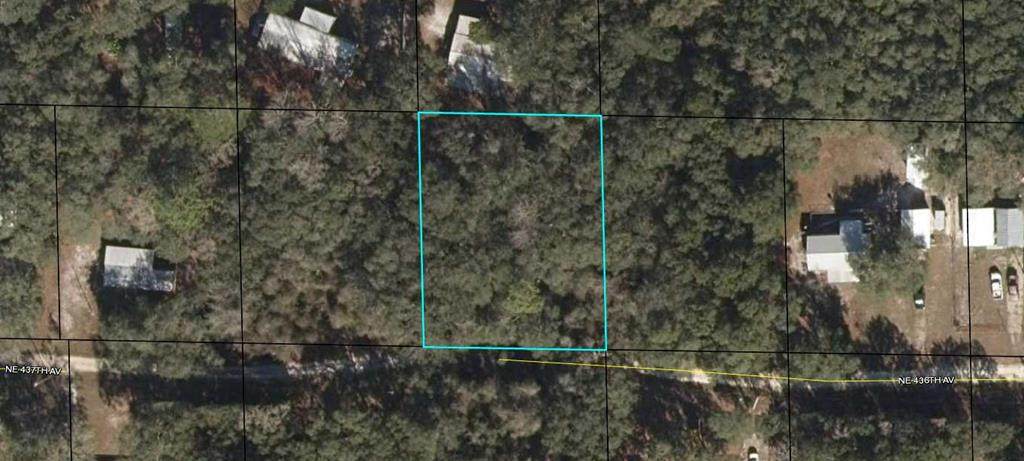 LOT 4 437th Ave - Photo 1