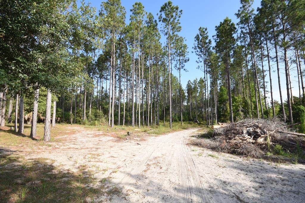 320th Ave - Photo 1
