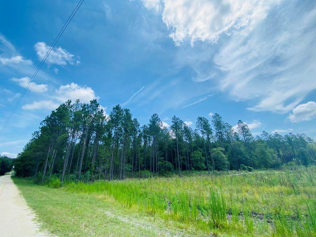 55.46 ac 35th Ave - Photo 1