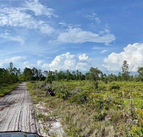 County Road 343 - Photo 1
