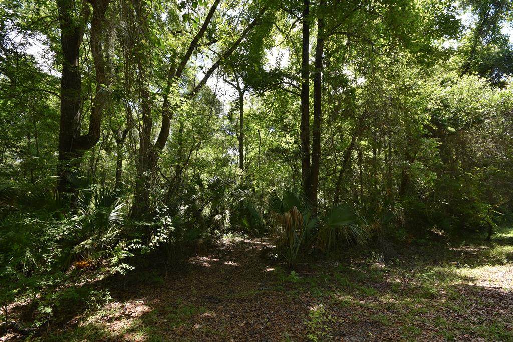 665 558th St - Photo 1