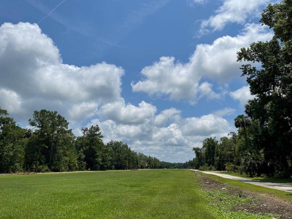 2333 Ancient Oaks Dr - Photo 1
