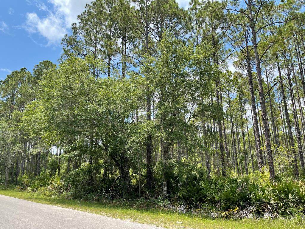 Lot 86 Sugar Hill Ln - Photo 1