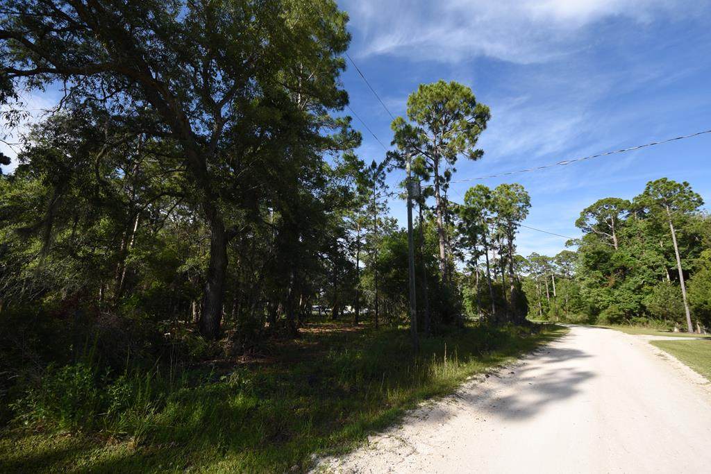 Lot 16 Fifth Ave - Photo 1