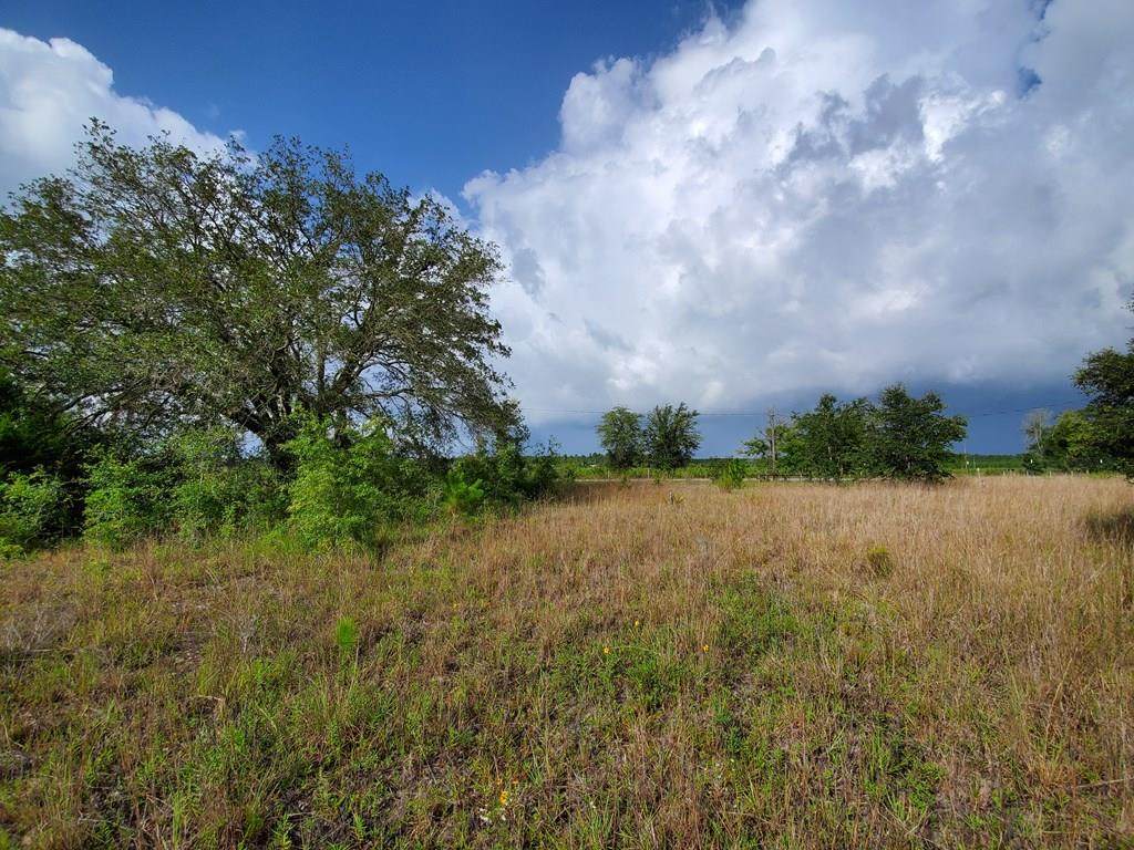 LOT 86 Hwy 55A - Photo 1